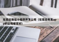 石家庄微信小程序开发公司（石家庄开发app的公司哪家好）