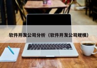 软件开发公司分析（软件开发公司规模）